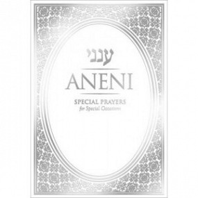Aneni: English Pocket - White (Softcover)